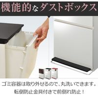 アスベル SP分別ダストボックス ペダル2段 ワイド レッド 4974908680229（直送品）