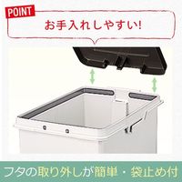 アスベル R防臭エバン・ペダルペール30L 4950672654130 1セット(2個)（直送品）