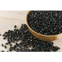 IWAHANA焼きモンブラン詰合せ9個入 【送料無料】（直送品）