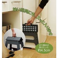 トレードワン セノ・ビーLite 22cm 1セット(2台) 30102（直送品）