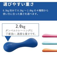 ダンベル スリムタイプ 2.0ｋｇ 筋トレ 1個入り 持ちやすい ブルー エクリアスポーツ HCF-DBS20BU エレコム 1個