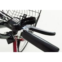 【自転車・折りたたみ】 ミムゴ Classic Mimugo FDB206SG-RL 1台（直送品）