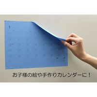 フィルムルックス キレイにはがせるカラーシート A4 アサギ 51003（直送品）