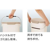 アスベル ゴミ箱 エバン ペール11L 中バケツ付 6326（直送品）