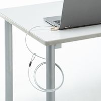 サンワサプライ 小型セキュリティスロット対応ダイヤル式セキュリティ SLE-36S 1個（直送品）