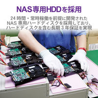 エレコム NAS Linux HDD スペアドライブ 4TB ラックマウント NSB-7A/5Aシリーズ NSB-SD4TU（直送品）