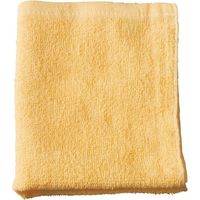 テラモト 業務用 タオル 10枚 CE480-010-9（直送品）