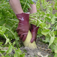 アトム ゴム手袋 ラバーホープ 3双組 214-3P-M（直送品）