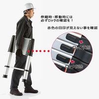 伸縮はしご ソフトスライド自在脚タイプ PTH-S380J ピカコーポレイション