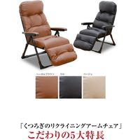 ファミリー・ライフ くつろぎのリクライニングアームチェアEX ヘーゼルブラウン 0368120 1脚（直送品）