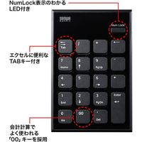 サンワサプライ ワイヤレスUSBテンキー NT-WL21BK 1個（直送品）