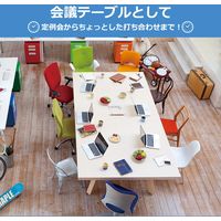 【組立設置込】Garage ピンポンワークテーブル PW-1514HN 幅1525×奥行き2740×高さ760mm 白木 434674 1台（直送品）