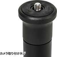 サンワサプライ コンパクト一脚 DG-CAM24 1個（直送品）
