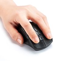 ワイヤレスマウス　無線　静音　5ボタン　中型サイズ　ブルーLED　MA-WBL164BK　サンワサプライ　1個