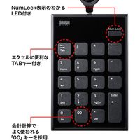 サンワサプライ 巻取りUSBテンキー NT-21UBK 1個（直送品）
