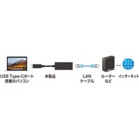 サンワサプライ USB3.1 TypeC-LAN変換アダプタ（ブラック） USB-CVLAN2BK 1個（直送品）