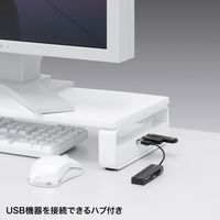 【アウトレット】サンワサプライ USBハブ付き机上液晶モニタースタンド MR-LC201HWN 1個（直送品）