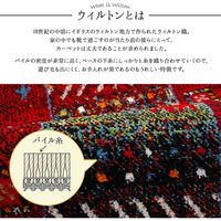 イケヒコ イビサ2 玄関マット 700×1200mm ブラウン 1311190066401 1枚（直送品）