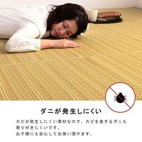 イケヒコ バルカン 上敷 団地間10畳 4250×3400mm ブラウン 1090031060702 1枚（直送品）