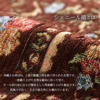 イケヒコ エリーゼ 玄関マット 600×900mm ブラウン 1311471061801 1枚（直送品）