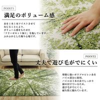 イケヒコ ガイア ラグ 800×1400mm 1320480010101 1枚（直送品）