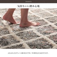 イケヒコ アザレア カーペット 1330×1900mm 1320270010201 1枚（直送品）