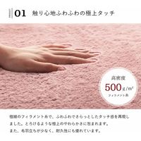 イケヒコ ラピアス ラグ 2000×3000mm ピスタチオグリーン 1280311121403 1枚（直送品）