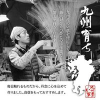 イケヒコ グラッセ 上敷 江戸間3畳 1740×2610mm 1080230010302 1枚（直送品）