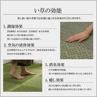 イケヒコ ラウム い草ラグ 江戸間3畳 1740×2610mm グリーン 1080490120302 1枚（直送品）