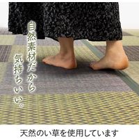 イケヒコ ピーア い草花ござカーペット 本間8畳 3820×3820mm ブルー 1030880041402 1枚（直送品）