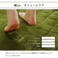 イケヒコ シリウス ラグ 1300×1850mm ベージュ 1291240024201 1枚（直送品）