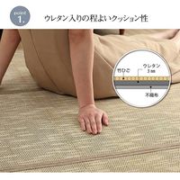 イケヒコ CXルクス 竹ラグ 1800×1800mm ネイビー 1100160194501 1枚（直送品）