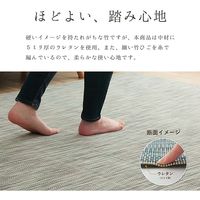 イケヒコ FXフォース 竹ラグ 吸着セット 1900×1900mm アイボリー 1100290144507 1枚（直送品）