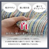 イケヒコ 洗える寝具掛け布団 アムール セミダブルロング 1700×2100mm ブルー 1200301042703 1枚（直送品）