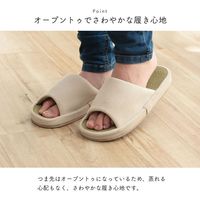 イケヒコ・コーポレーション スアブ(い草コンフォート) IV L 1260160000000 1足