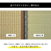 イケヒコ DX沖縄ビーグ ラグ 1300×2000mm 1050750011803 1枚（直送品）