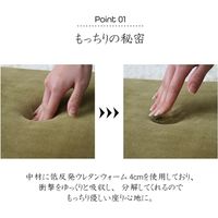 イケヒコ・コーポレーション mou(ムー) シート BK 40×40×4cm 1380000000000 1枚