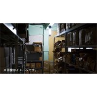 片山利器 #202051 LEDシリンダーライトミニBT-1000CL 1本（直送品）