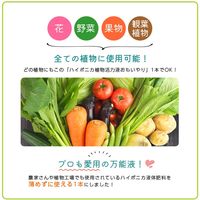 協和 ハイポニカ植物活力液 ストレート液 500ml 2057311 1本