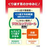 ムヒER 15ml 池田模範堂 耳のかゆみ・皮ふ炎 エタノールフリー 塗り薬【指定第2類医薬品】