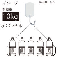 オート スーパーボンドフック10kg OH-43Bシロ 1個
