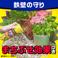 カメムシ駆除 害虫駆除剤 スプレー 虫コロリアース 300ml 殺虫剤 害虫 駆除 対策 寄せ付けない 退治 屋外 カメムシよけ アース製薬