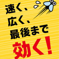 虫よけネットEX ベランダ用 + 玄関用 160日用 吊り下げタイプ 1個 アース製薬