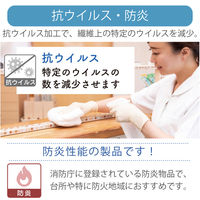 【幅1cm単位】抗ウイルスロールスクリーン幅199cm×高281~300cm tr4238-199x300-r220 1セット トーソー（直送品）