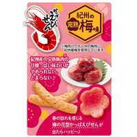 かっぱえびせん 紀州の完熟梅味 70g 6袋 カルビー スナック菓子