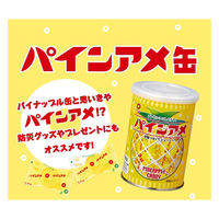 パインアメ缶 3個 パイン キャンディ 防災
