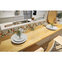 明和グラビア グラスルックデコシート WGL-03 トロピカル オレンジ 20cm×180cm 1個（直送品）