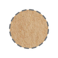 丸紐 クラフト紙手提袋ベーシック 200×250×120 茶 1袋（50枚入）  オリジナル（わけあり品）