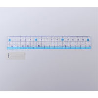 サンフレイムジャパン 直線定規 15cm 500-2244 1セット(10個)（直送品）