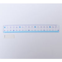 サンフレイムジャパン 直線定規 18cm 500-2245 1セット(10個)（直送品）